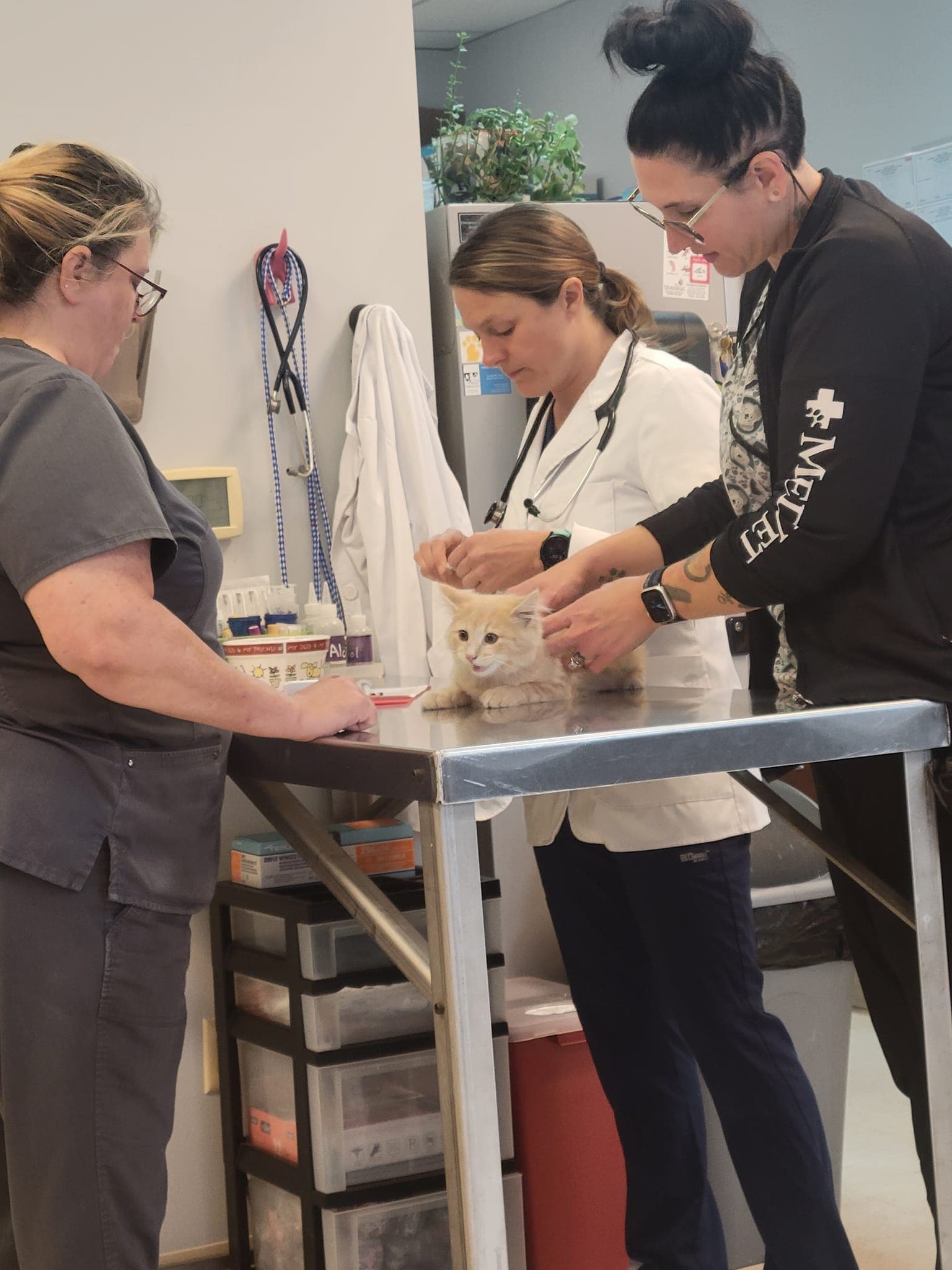 Uptown Veterinary Clinic staff with a patient