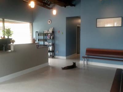 The front lobby of Uptown Veterinary Clinic