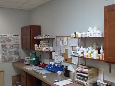 The in-house pharmacy shelves at Uptown Veterinary Clinic