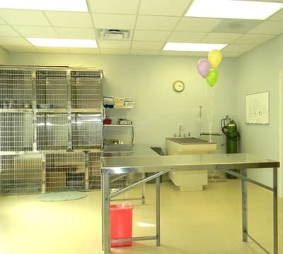 The treatment room at Uptown Veterinary Clinic, used for nail trims, vaccinations and sample collection