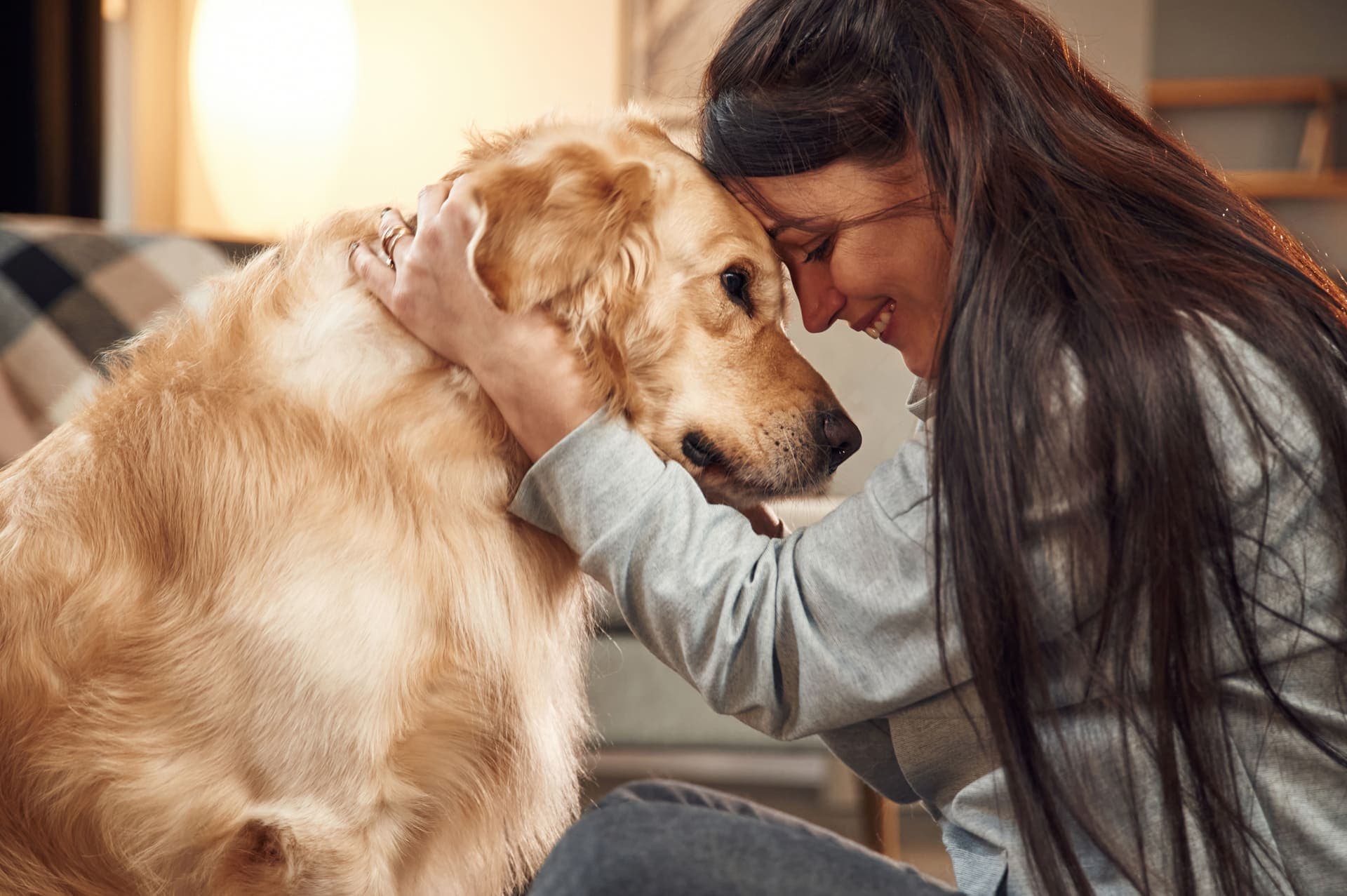 Pet care resources from Uptown Veterinary Clinic in Ann Arbor, Michigan