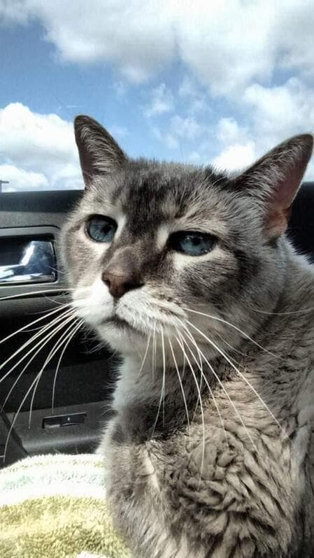 Hansel Blackburn, remembered at Uptown Veterinary Clinic