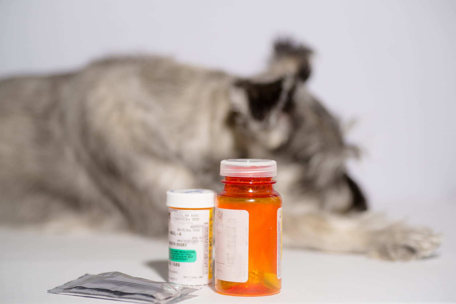 Prescription Diet for pets at Uptown Veterinary Clinic