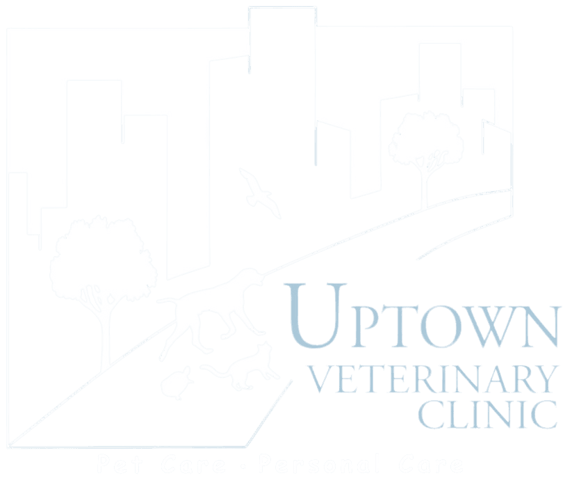 Uptown Veterinary Clinic