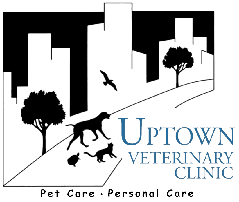 Uptown Veterinary Clinic