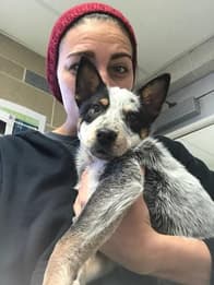 Jess, Animal Care Staff at Uptown Veterinary Clinic
