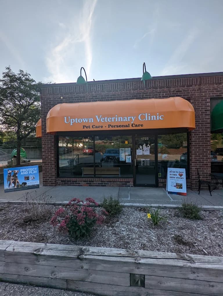 Book a veterinary appointment at Uptown Veterinary Clinic in Ann Arbor, Michigan