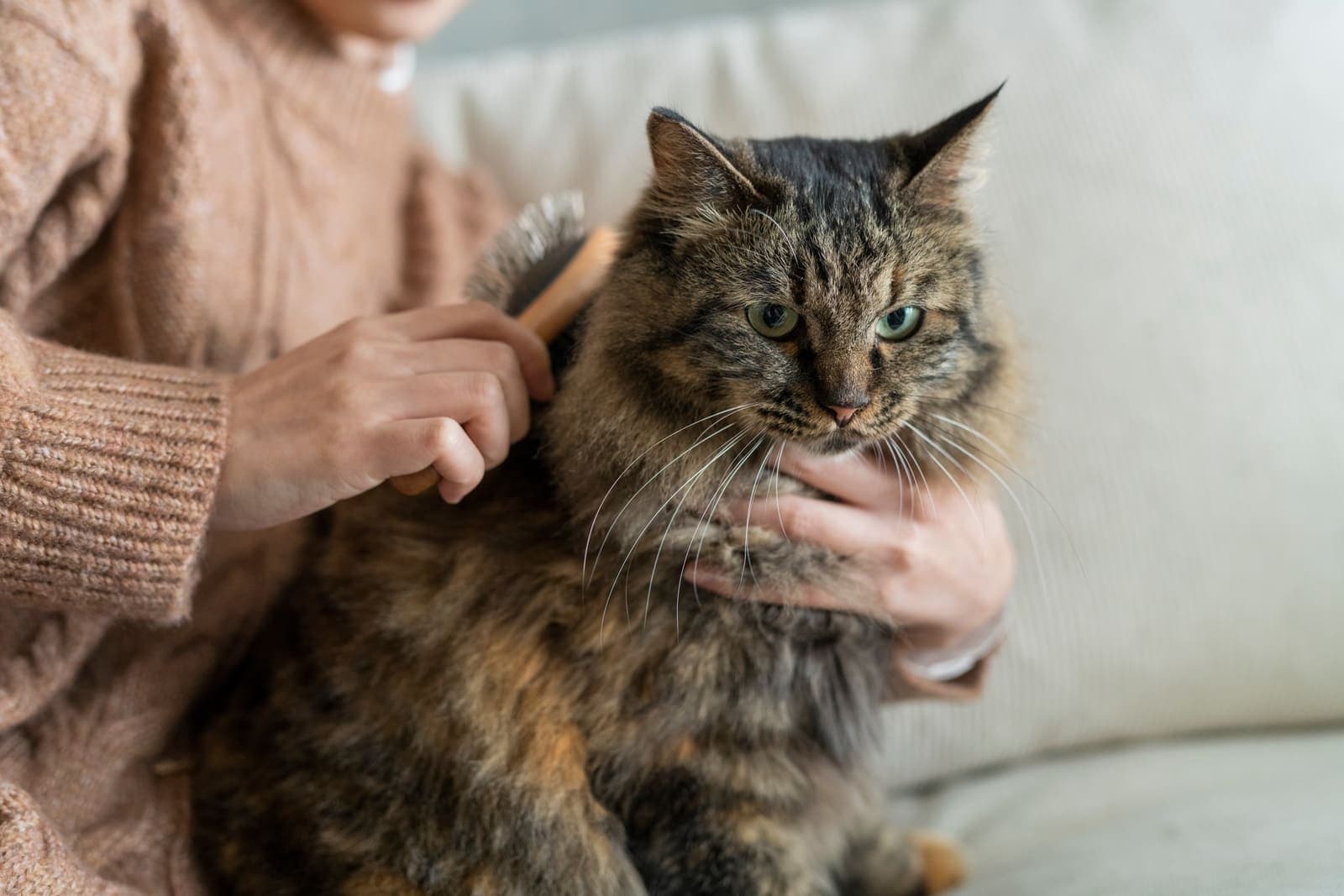 It Doesn’t Have to Be All Doom and Groom