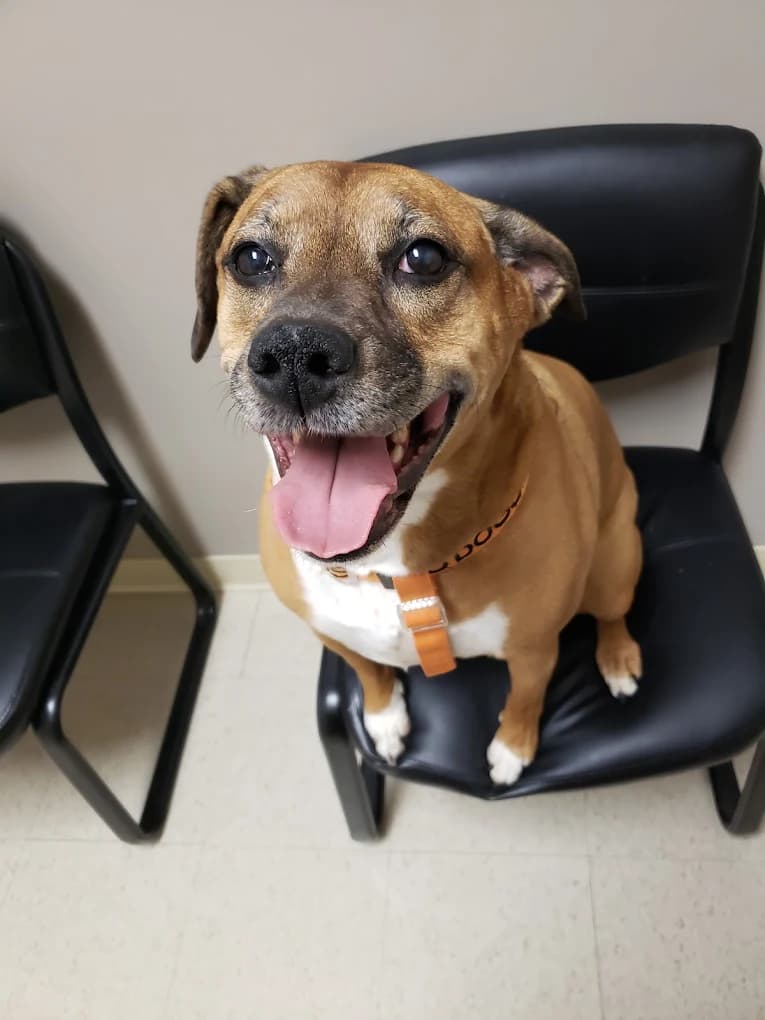 What to expect at your appointment: COVID-19 Edition