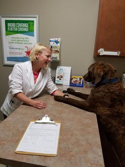 Pet of the Month – June 2018